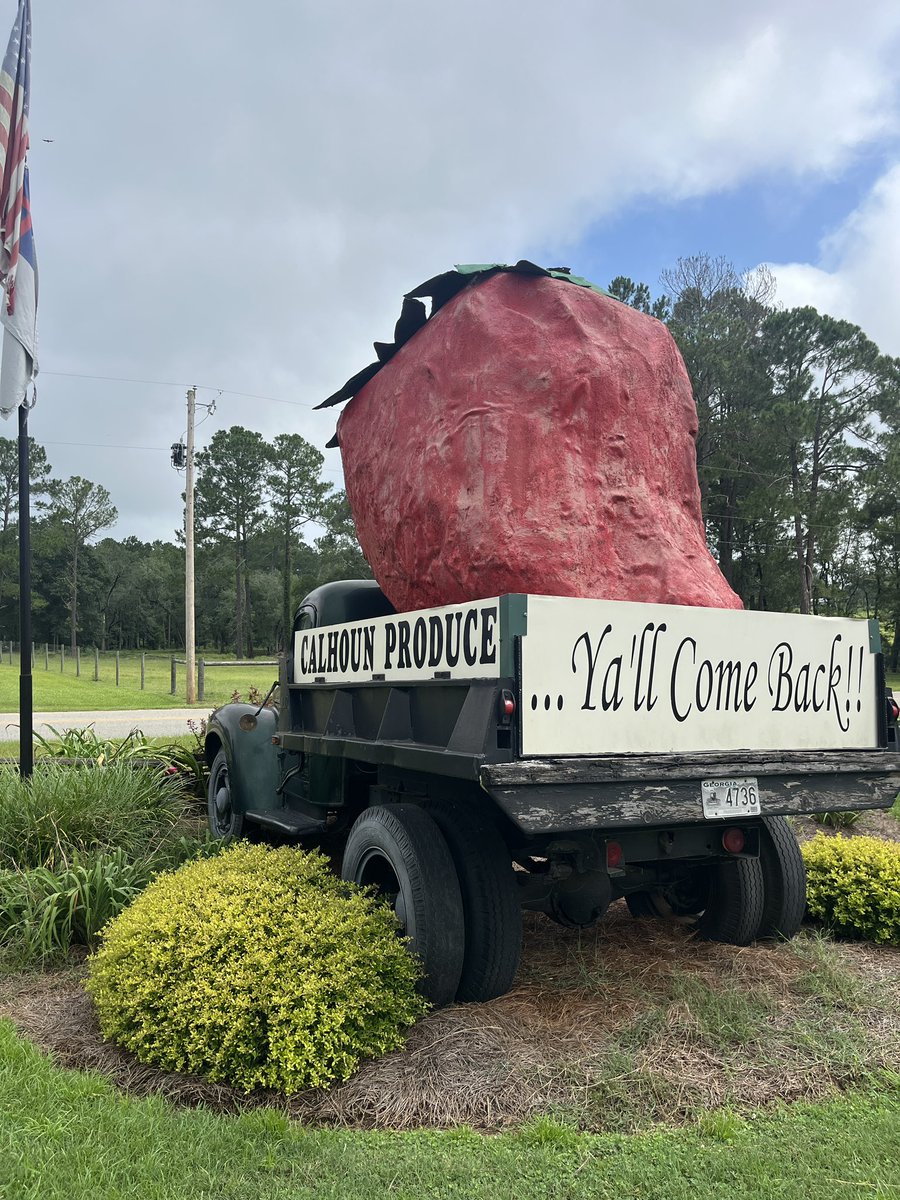 South GA appreciation post - fresh produce and beautiful historic courthouses!