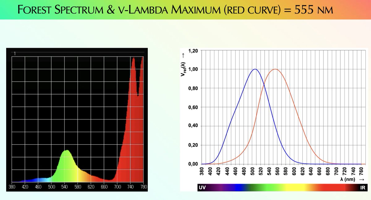 Ra Optics tweet media