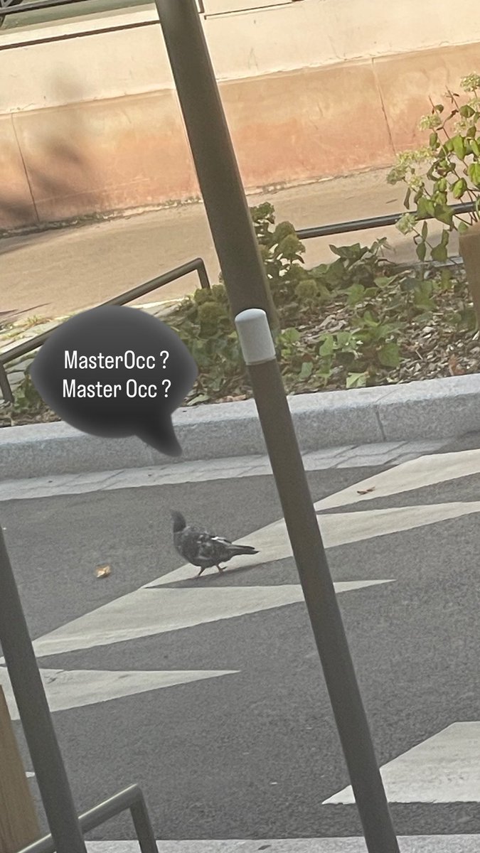 Slave/Sub (@occpuissancesub) on Twitter photo La déshérence des soumis qui ne trouvent plus <a href="/MasterOcc/">Cash Master Occ 👑</a> en raison des nouvelles règles de modération sur X La déshérence des soumis qui ne trouvent plus <a href="/MasterOcc/">Cash Master Occ 👑</a> en raison des nouvelles règles de modération sur X