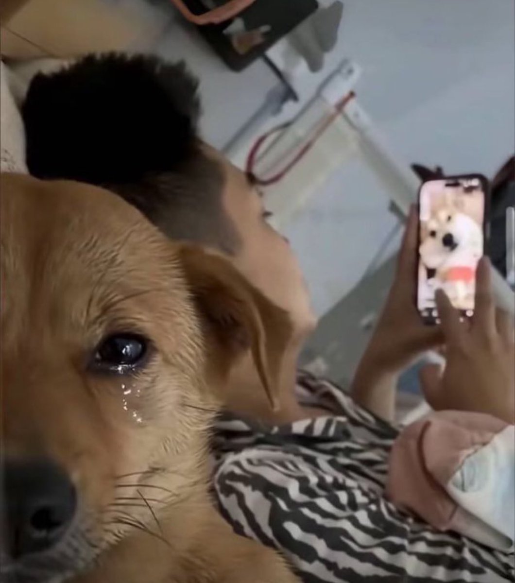 this as your yumeship