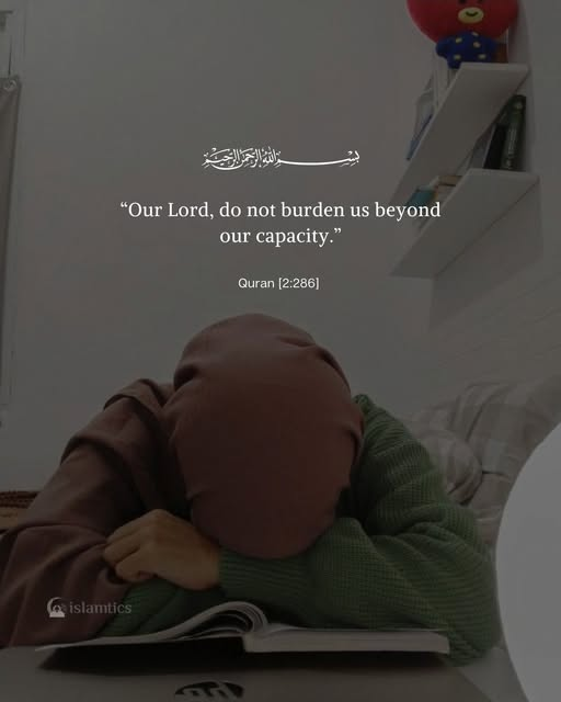 Da_Quran_Corner's tweet photo. #TheQuranCorner https://t.co/nOgotHW8mM