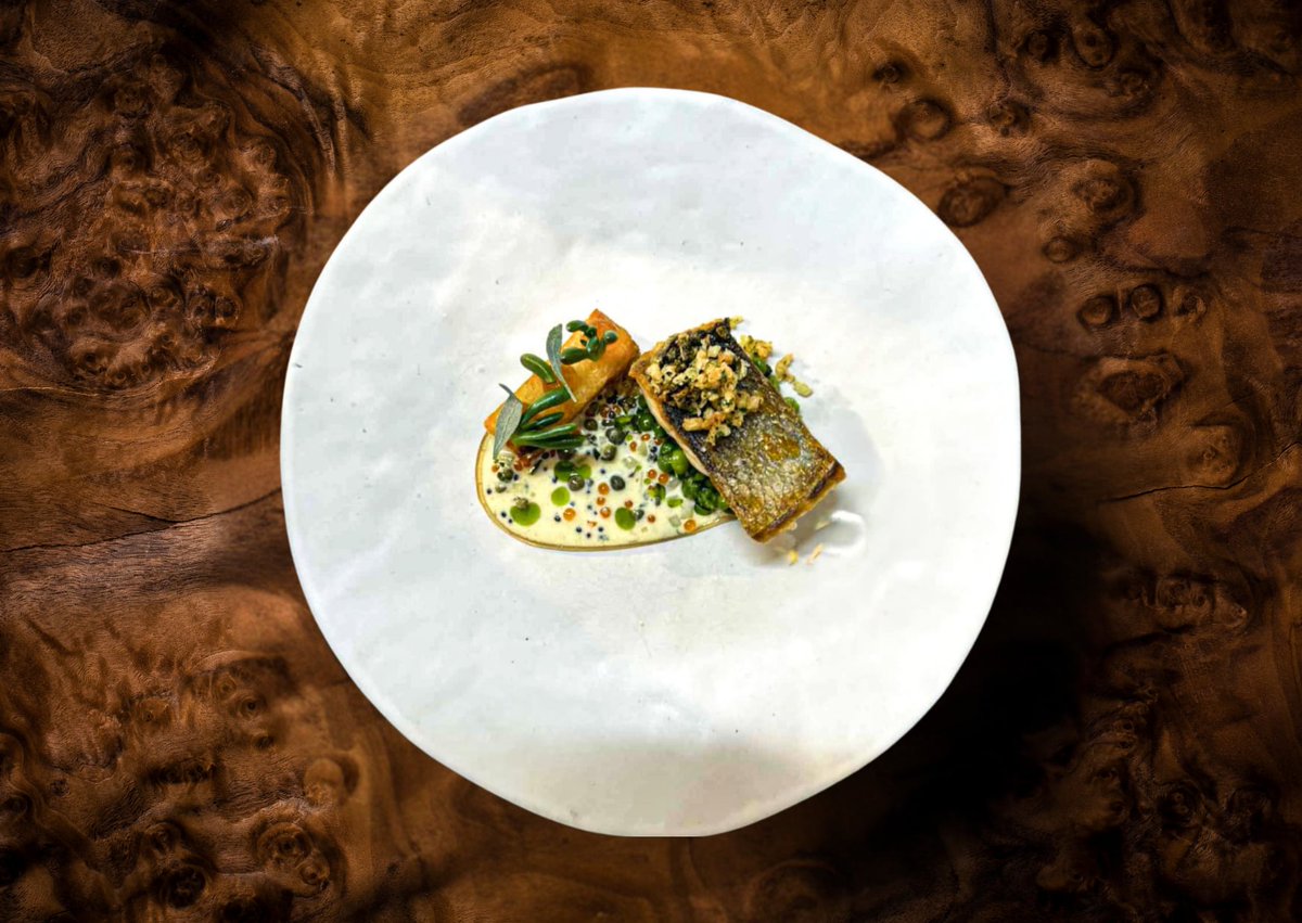 PlasDinas's tweet image. Sea Bass

Line caught sea bass, smoked bass ‘chip’, crushed peas, minus 8 vinegar gel, caper &amp;amp; parsley scraps, Exmoor caviar tartar sauce.

#MichelinGuideGBI #AugustMenu #TheGunroomRestaurant @AAHospitality @GoodHotelGuide