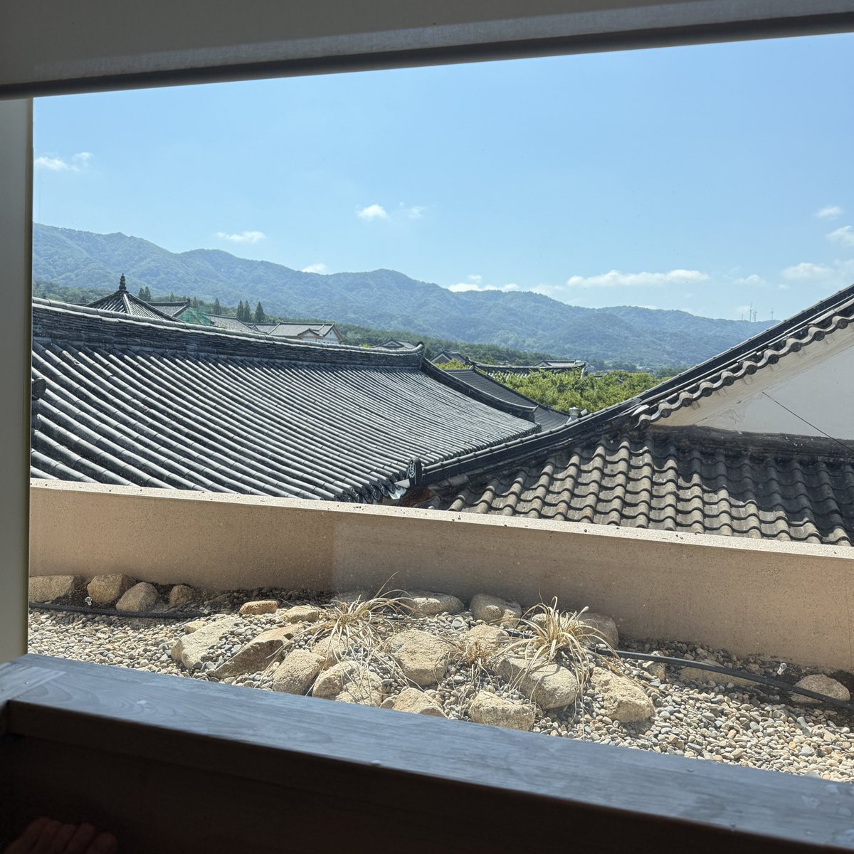 thoseofwhat's tweet photo. #이제경주 https://t.co/QqYtgX8qNR
