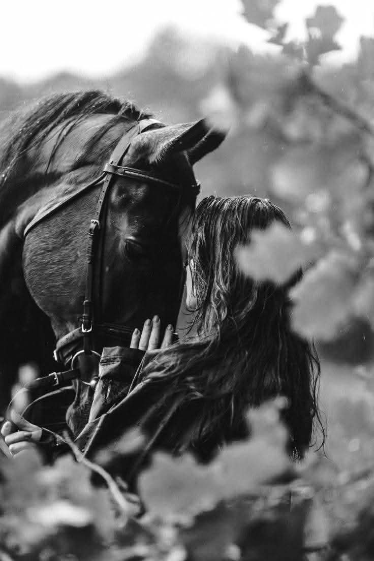 كل ما كانت ردّة الفعل هادية ..

كل ما كان الزعل أكبر ..