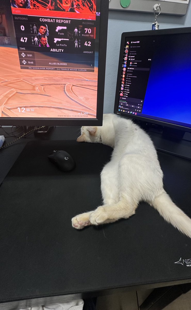 Opinen de mi mousepad