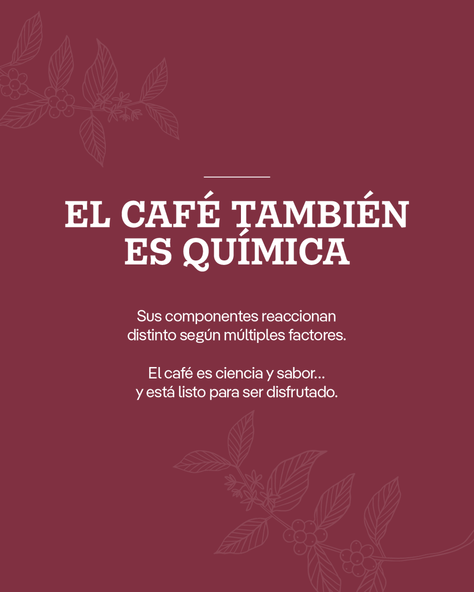 ABECAFE_'s tweet photo. Gracias a la trazabilidad del café, puedes conocer el origen de lo que consumes y eso te da información de cómo puede ser su sabor después de su procesamiento.

Fuente: https://t.co/oqfHlXjPnX https://t.co/beSHBHBza7
