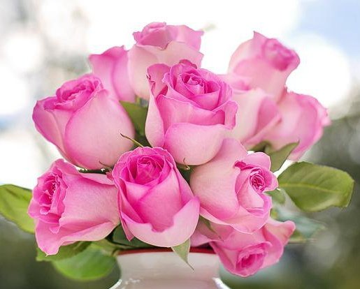 𝓘𝓼𝓂𝒶𝒾𝓁 𝐾ℎ𝑎𝑛ᴵᴷ 🇵🇰 (@its___ik) on Twitter photo ملنا ایک معجزاتی شروعات ہے ساتھ رہنا ایک حسین سفر🌹
اور ہمیشہ ساتھ نبھانا کامیابی ہے ❤️
#داستان_دل #قومی_زبان
<a href="/Its___IK/">𝓘𝓼𝓂𝒶𝒾𝓁 𝐾ℎ𝑎𝑛ᴵᴷ 🇵🇰</a>
<a href="/Dr__Writes_/">Dr Asia PTI✍️</a> <a href="/Azizazjan/">Faiza Khanmᵀᵉᵃᵐᴸᴸᴾ</a> <a href="/sanam2579/">🇸🇦🇳🇦🇲</a>
<a href="/Aqrs_10_/">𝐄 𝐌 𝐀 𝐀 𝐍 𝐘</a> <a href="/its_erm_/">eرm</a>
<a href="/55imaan/">亗『 ᵀᵉᵃᵐᴸᴸᴾ ایمان 』亗</a> <a href="/N_Ri_da/">𝓡𝓲𝓭𝓪</a>
<a href="/mga144/">Dr. Mina gul Afridi🇵🇰</a> <a href="/7n_Star_/">𝐍αʝɱυʂ ʂαʅιԋҽҽɳ🙃</a> <a href="/ijazk90/">ijaz khan</a> <a href="/BDF_081/">Hafeez Tanoli ⁱᴾⁱᵃⁿ🇵🇰🇰🇼</a> <a href="/Saif_pit/">Saif Ullah Warraichᵀᵉᵃᵐᴸᴸᴾ</a> ملنا ایک معجزاتی شروعات ہے ساتھ رہنا ایک حسین سفر🌹
اور ہمیشہ ساتھ نبھانا کامیابی ہے ❤️
#داستان_دل #قومی_زبان
<a href="/Its___IK/">𝓘𝓼𝓂𝒶𝒾𝓁 𝐾ℎ𝑎𝑛ᴵᴷ 🇵🇰</a>
<a href="/Dr__Writes_/">Dr Asia PTI✍️</a> <a href="/Azizazjan/">Faiza Khanmᵀᵉᵃᵐᴸᴸᴾ</a> <a href="/sanam2579/">🇸🇦🇳🇦🇲</a>
<a href="/Aqrs_10_/">𝐄 𝐌 𝐀 𝐀 𝐍 𝐘</a> <a href="/its_erm_/">eرm</a>
<a href="/55imaan/">亗『 ᵀᵉᵃᵐᴸᴸᴾ ایمان 』亗</a> <a href="/N_Ri_da/">𝓡𝓲𝓭𝓪</a>
<a href="/mga144/">Dr. Mina gul Afridi🇵🇰</a> <a href="/7n_Star_/">𝐍αʝɱυʂ ʂαʅιԋҽҽɳ🙃</a> <a href="/ijazk90/">ijaz khan</a> <a href="/BDF_081/">Hafeez Tanoli ⁱᴾⁱᵃⁿ🇵🇰🇰🇼</a> <a href="/Saif_pit/">Saif Ullah Warraichᵀᵉᵃᵐᴸᴸᴾ</a>
