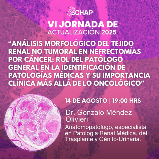 SCHAPCHILE's tweet photo. VI Jornada 2025! Tema: “Análisis morfológico del tejido renal no tumoral en nefrectomías por cáncer: rol del patólogo general en la identificación de patologías médicas y su importancia clínica más allá de lo oncológico” Dr. Gonzalo Méndez 14 Agosto 19:00h https://t.co/78b11BnAFE https://t.co/BVDGMLfy1K