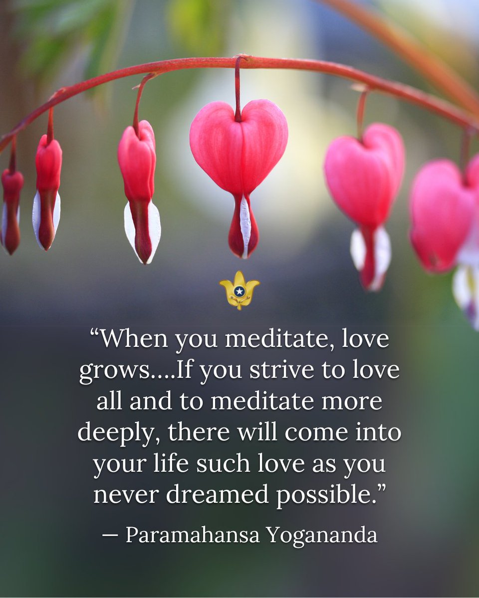 “When you meditate, love grows….If you strive to love all and to meditate more deeply, there will come into your life such love as you never dreamed possible.” — Paramahansa Yogananda 

#Yogananda #quote #InpiringQuote #meditation #love