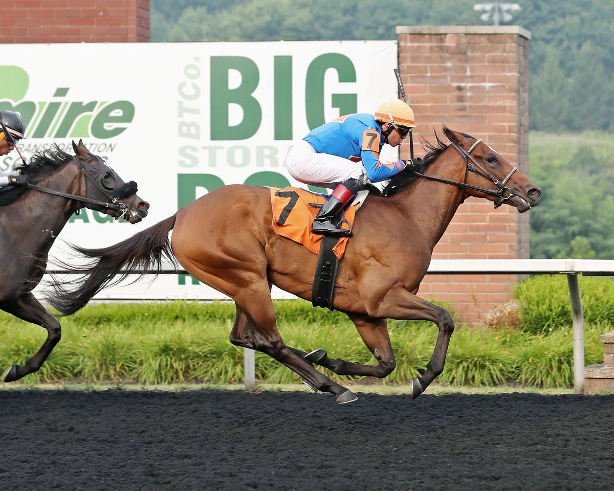 Pa HBPA (@pa_hbpa) on Twitter photo The <a href="/PID_Casino/">Presque Isle Downs & Casino</a> racing week concludes with an 8-race card, with first post at 3:30 pm.
📸: <a href="/coadymediaUSA/">Coady Media</a> The <a href="/PID_Casino/">Presque Isle Downs & Casino</a> racing week concludes with an 8-race card, with first post at 3:30 pm.
📸: <a href="/coadymediaUSA/">Coady Media</a>