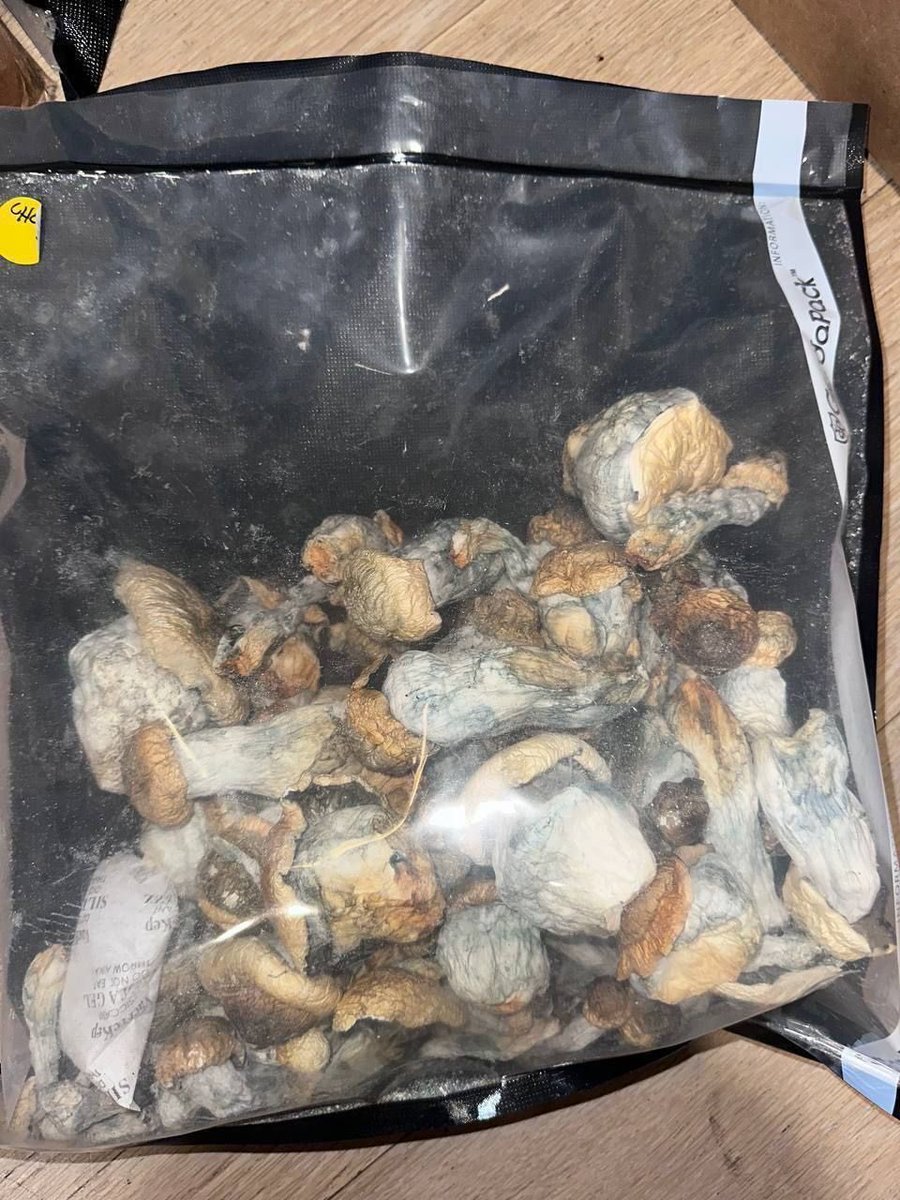 Mushroom 🍄 
Contact 📲t.me/amazonscard