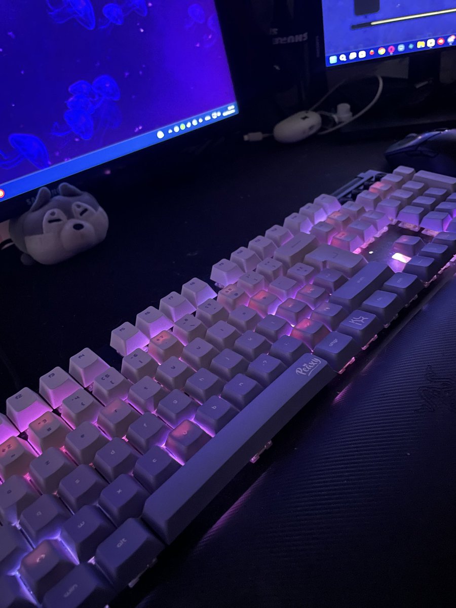 Regardez ma barre espace 🥹 

Merci pour ces keycaps banger <a href="/Klixgg/">Klix ⌨️</a> 💜