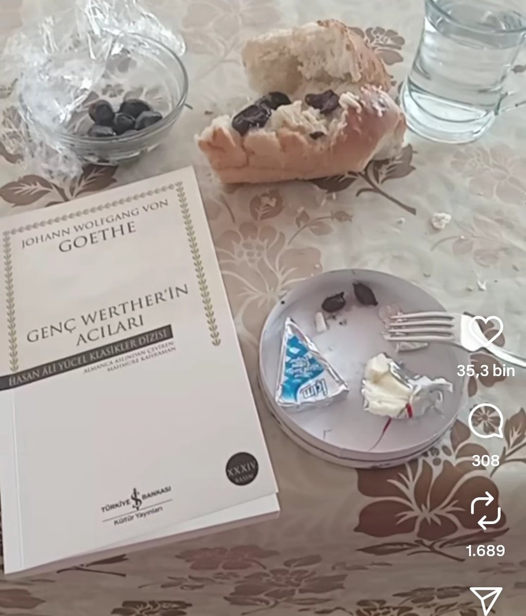 Okudum bitirdim kötü demek istemiyorum ama bana çok geçmedi aşık olmadığım içinde olabilir tabi. Sağdaki görsel daha acı