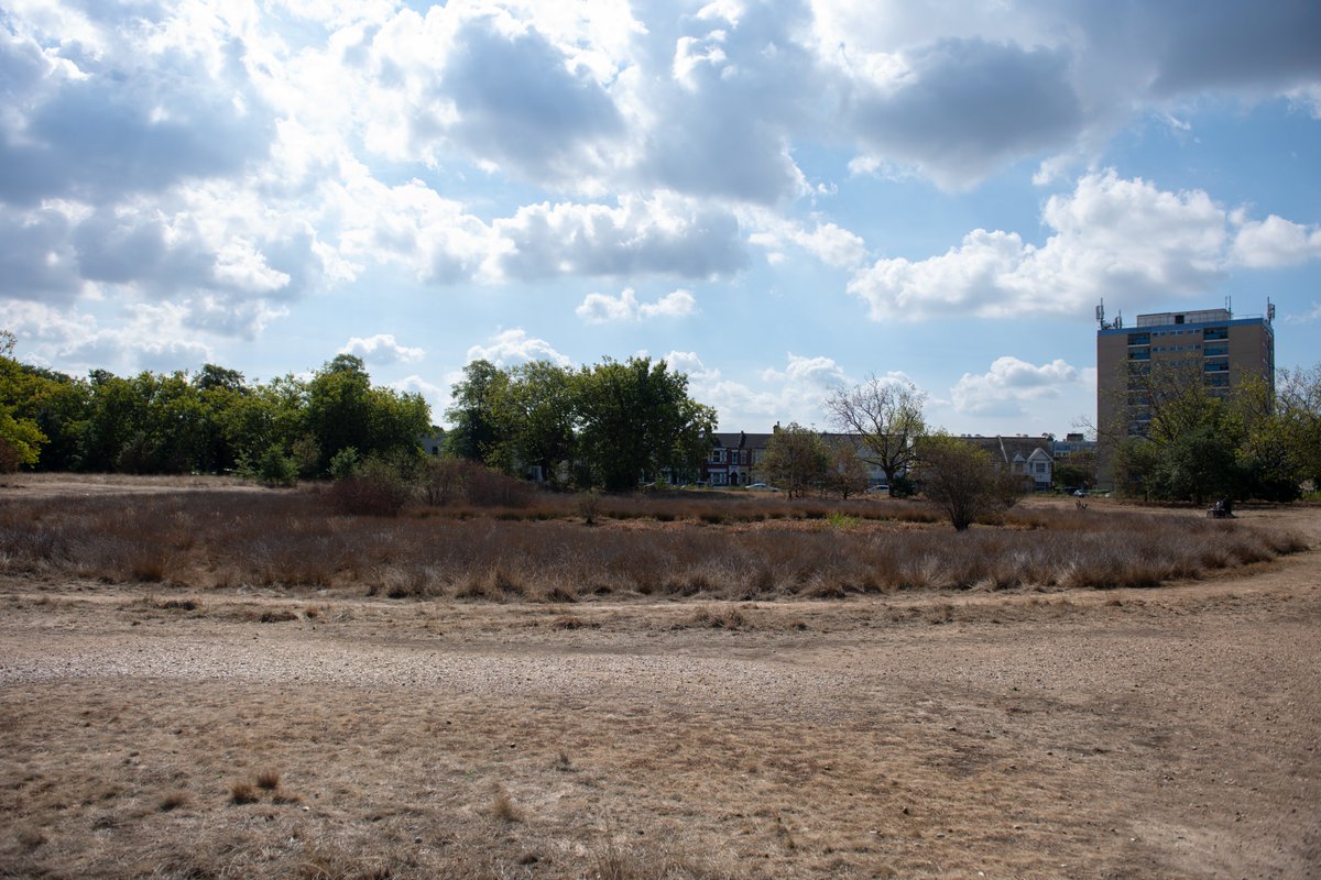 At City Hall, we’re working on a new action plan to prepare London for extreme heat and protect Londoners’ health from rising temperatures. You can help shape our plan.

Join <a href="/LDN_talk/">TalkLondon</a> and share your ideas on how we can keep our city cool. london.gov.uk/talk-london/to…