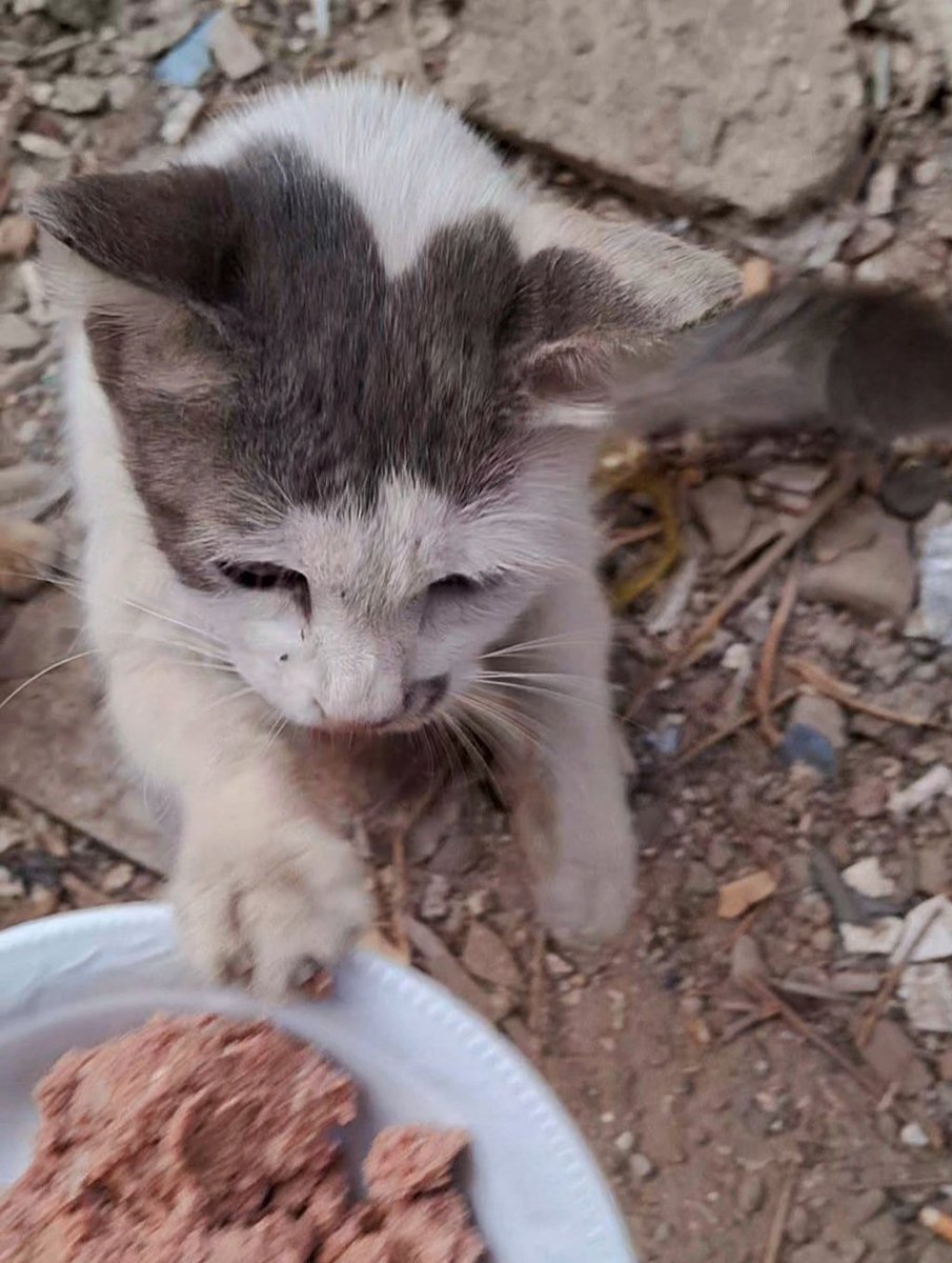 Everyone is rushing to buy and store food after Netan.yahu announced a decision to tighten the siege and invade our city, Ghaza  not even a drop of water will be allowed in.
We are in urgent need to store as much food and water as possible, we are running out of time. Please, we