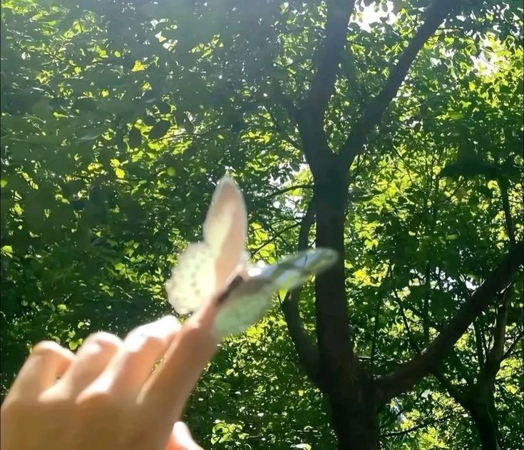 ᅠ ᅠ (@greendreaams) on Twitter photo 