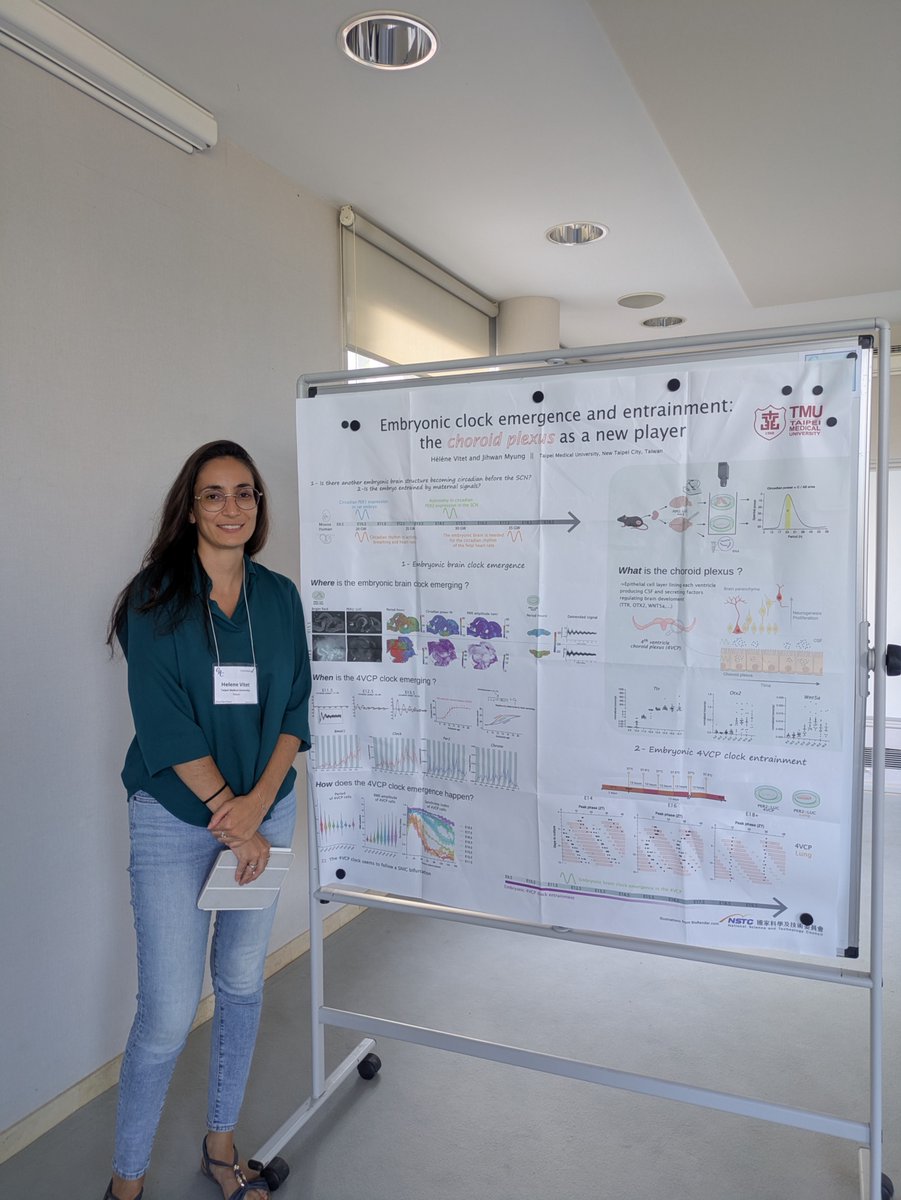 Braintime Lab tweet media