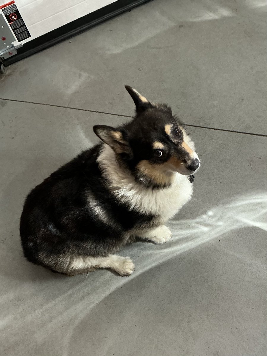 Molly is getting old, but she is still the Thing of Evil.