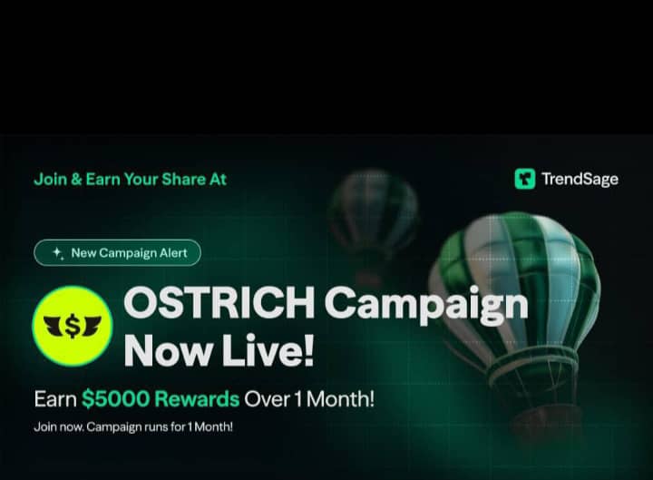 Alakbariy's tweet photo. Real markets, on-chain. 💹
@Ostrich_HQ brings equities, metals &amp; forex to crypto.
No memecoins, just serious trading.
Fast. Borderless. Built for the world. 🌍
#TradeWithOstrich #NextBullRun https://t.co/UmgaRQ7kgZ