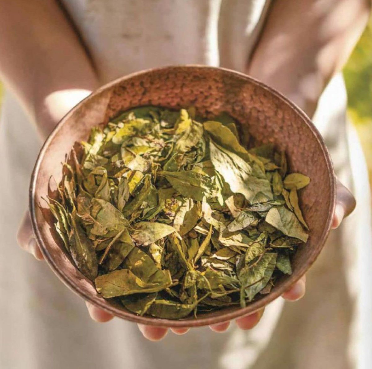 María José Gómez, diseñadora egresada de nuestra facultad y profesora de cátedra, habla sobre "Cúrcuma", su laboratorio textil ubicado en Ubaté, Cundinamarca 👉 cutt.ly/7rAuJNZ9