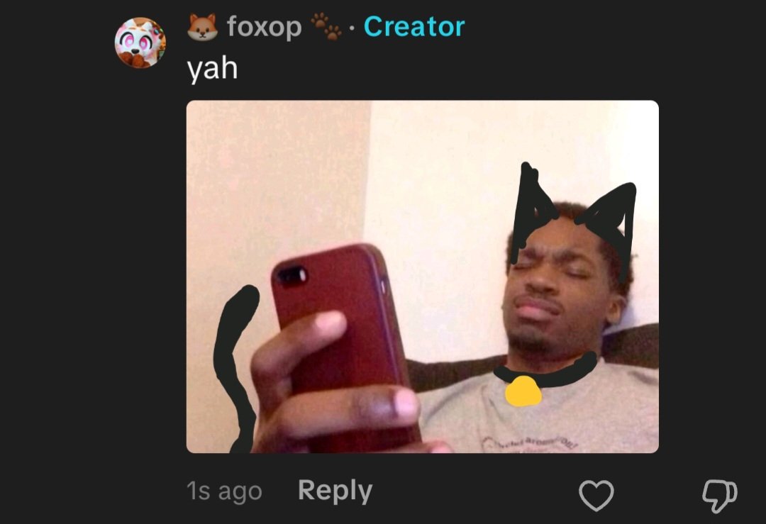 🦊 foxop 🐾 tweet media