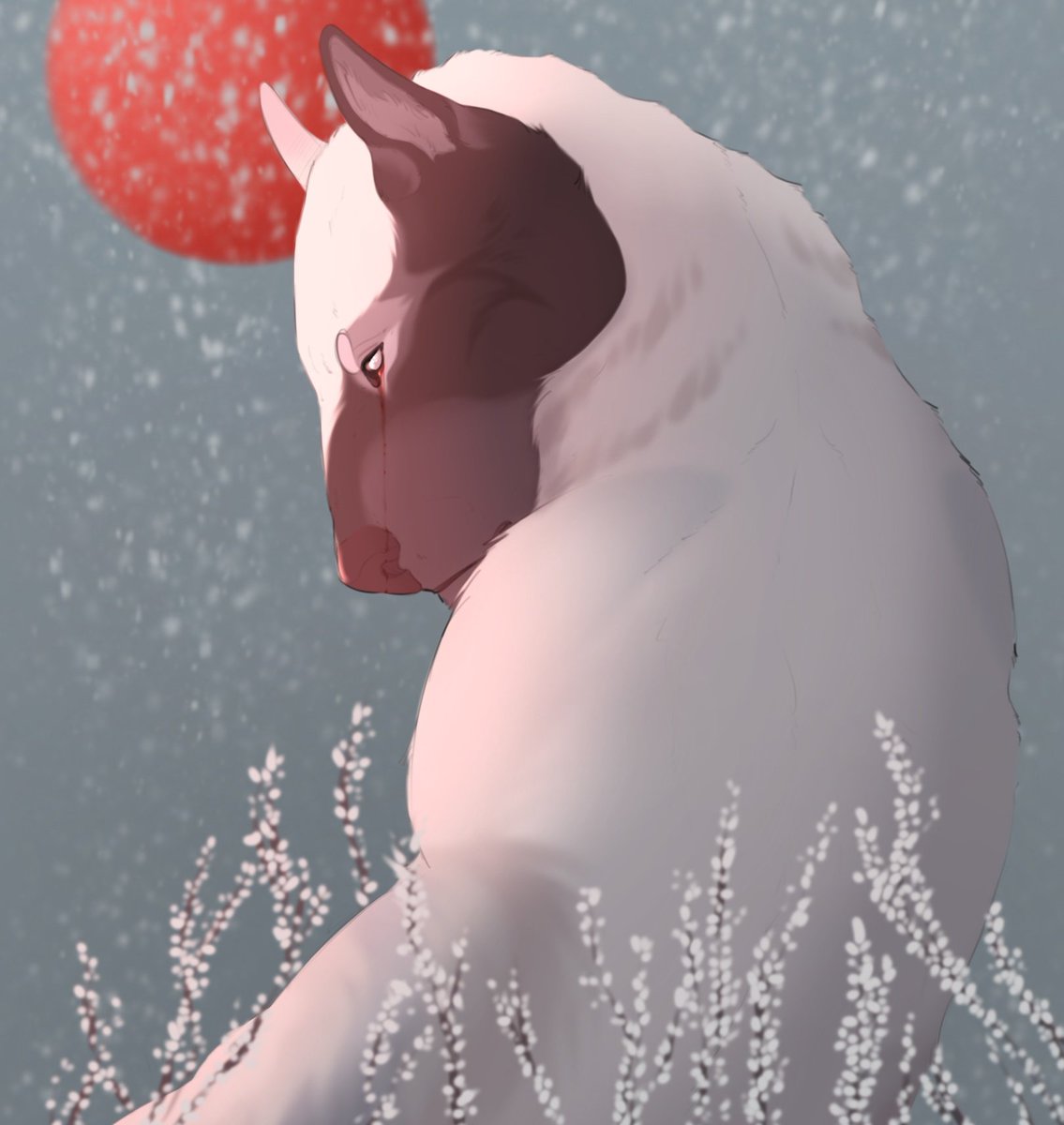 Salamiguy4 tweet media