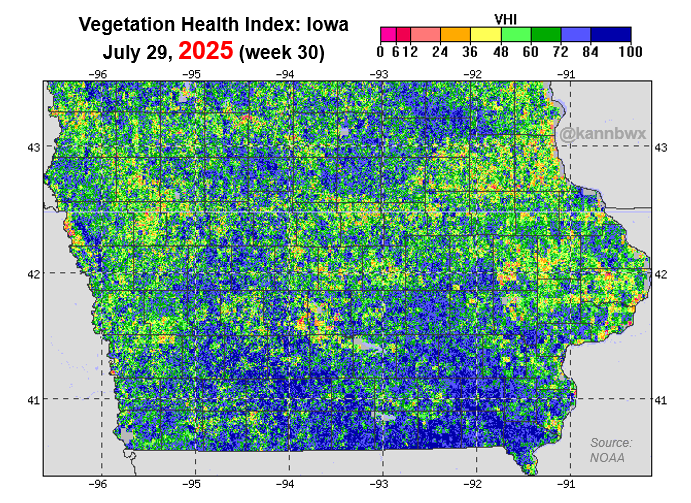 kannbwx's tweet photo. 🇺🇸Here's a look at satellite-derived, end-of-July vegetation health in Iowa, this year versus the past three years.

For interest, final Iowa corn yields:
2022 - 200 bu/acre
2023 - 201 bu/acre
2024 - 211 bu/acre
2025 - let me know in the comments👀 https://t.co/Gfj264hVyO