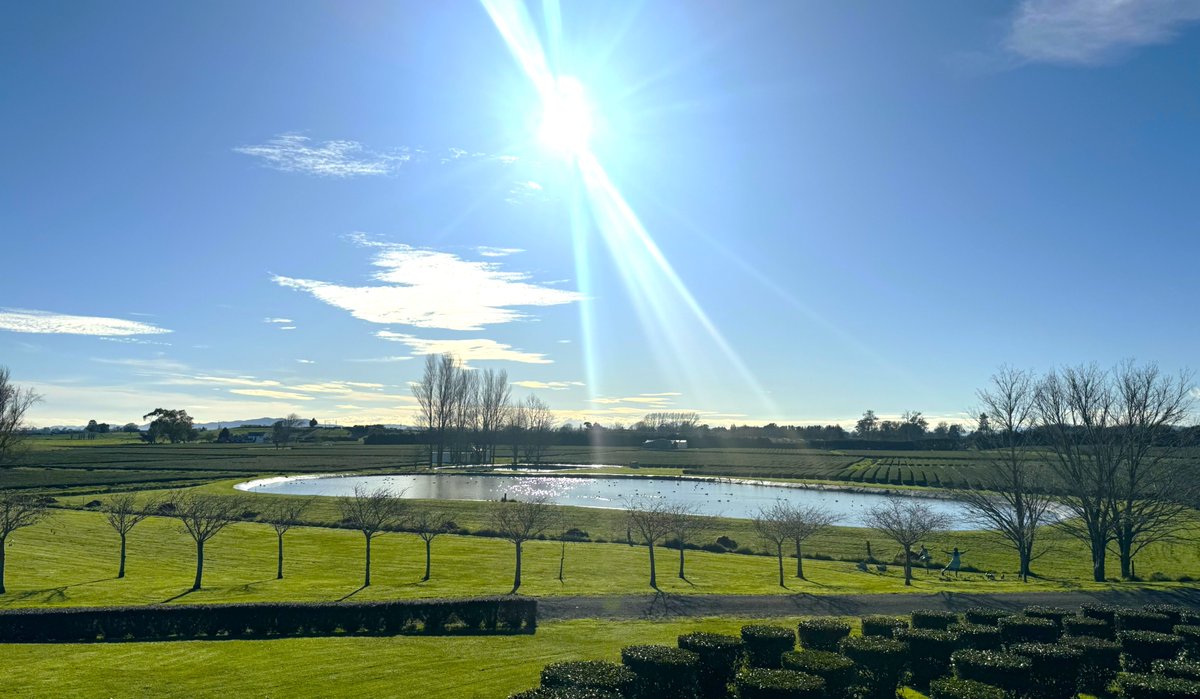 🍵Making fine tea requires care from field to teacup. 🫖

<a href="/ZealongTea/">Zealong Tea</a> Estate uses Apogee’s Radiation Frost Detector to track canopy temperatures, which can impact growth rate and flavor. Learn more below!

apogeeinstruments.com/frost-monitori…

#apogeeinstruments #AgTech