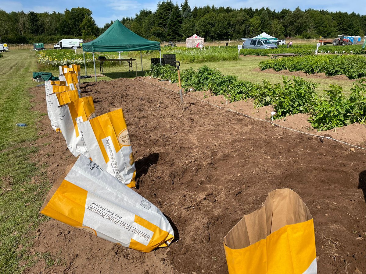 Restrain_C2H4's tweet photo. #PotatoesinPractice2025 prep was well underway today🥔. The team is looking forward to connecting with attendees &amp; sharing our trial results &amp; insights out in the field. Come say hi tomorrow!

#PotatoesinPractice #PiP2025 #potatoes #potatoindustry #potatofarming #farmingUK #farm https://t.co/hyrXedX1zg