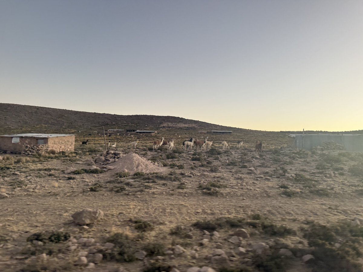 Been off the grid for the past 24 hours. Let me tell you a story — one that could’ve ended way worse than it did.

I’m currently far from Lima, back in my hometown visiting my parents. Yesterday, I had to make a trip to a rural area over 4000 meters above sea level. No phone