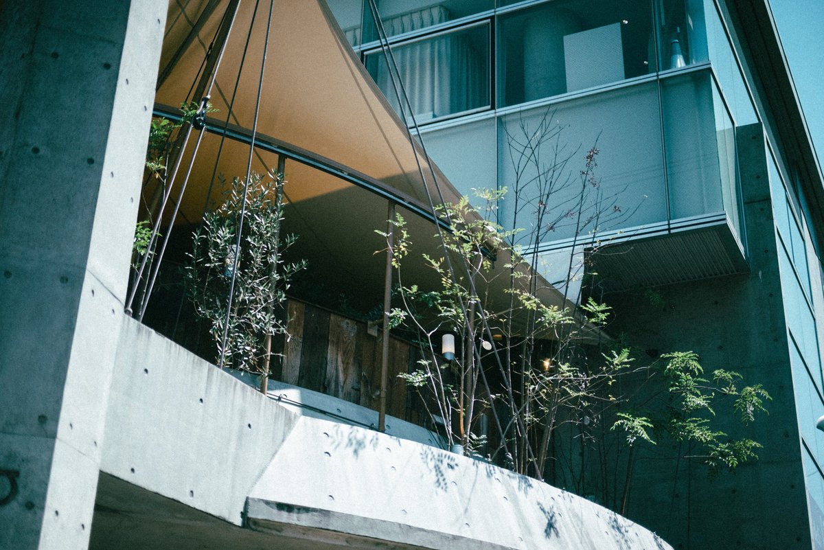 たよ (@ta062yo) on Twitter photo 