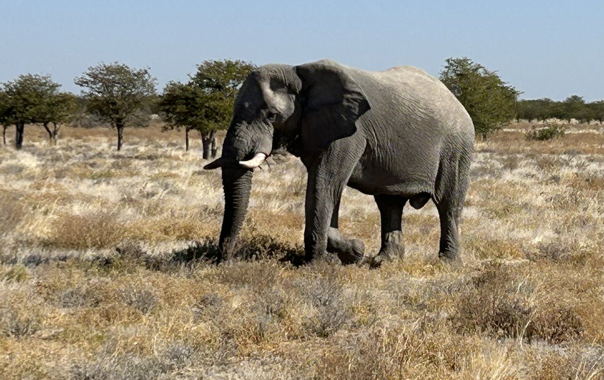 Just got back from my trip to #Namibia #Africa.   Here’s a few pics    Thanks #Muench #Workshops.     Beautiful country.