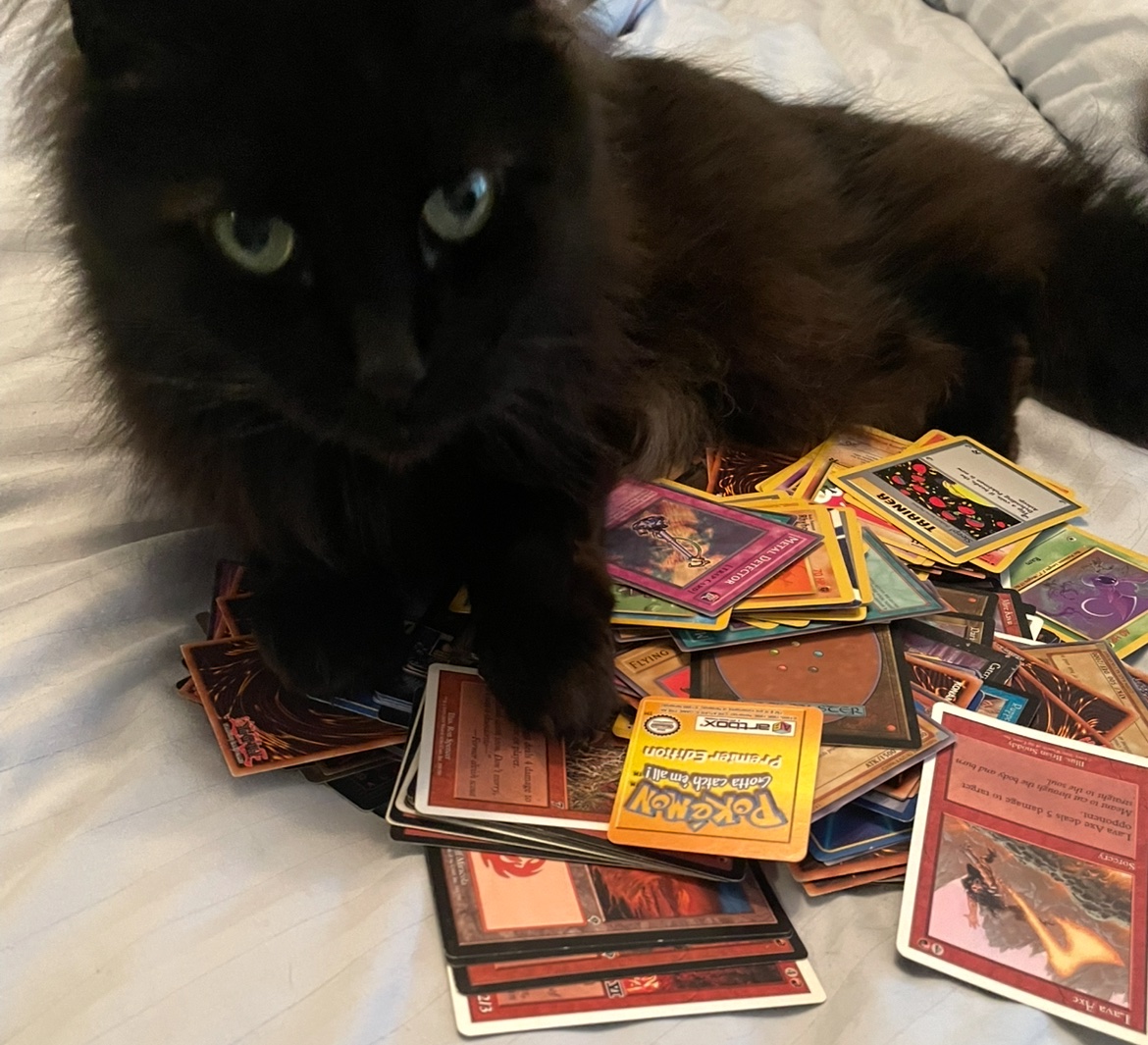 Khajit has wares 

If you have coin