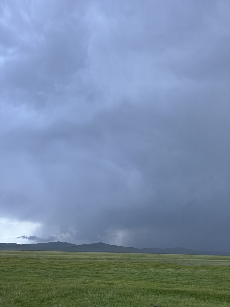 Өглөөний мэнд
🍀☘️🌿🌼🌼🌼🍀🍀🍀🌼🌼🌼