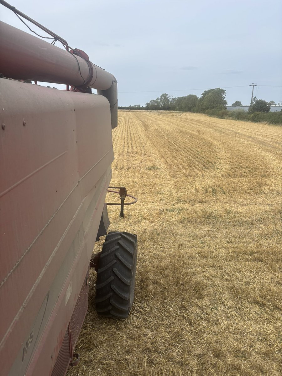 Harvest 2025 wrapped up. ✅ 

Awards ceremony, wheat is 2 pronged with yield &amp; bushel weight.

  Performance         Bushel weight 
 🥇 Bamford              ⭐  ⭐ ⭐ 
 🥈 Champion          ⭐/⭐ 
 🥉 Zyatt                     ⭐ ⭐ ⭐ ⭐ 
 🥉/💩Palladium    ⭐/⭐ 

Crop star