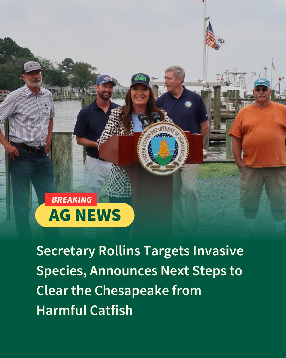 Dept. of Agriculture (@usda) on Twitter photo A huge win for seafood processors! <a href="/SecRollins/">Secretary Brooke Rollins</a> announced grant funding to help expand operations and strengthen the supply chain for invasive, wild-caught catfish.
USDA is also partnering with <a href="/MdAgDept/">Maryland Department of Agriculture</a> to launch a pilot program to purchase blue catfish from the Chesapeake Bay A huge win for seafood processors! <a href="/SecRollins/">Secretary Brooke Rollins</a> announced grant funding to help expand operations and strengthen the supply chain for invasive, wild-caught catfish.
USDA is also partnering with <a href="/MdAgDept/">Maryland Department of Agriculture</a> to launch a pilot program to purchase blue catfish from the Chesapeake Bay