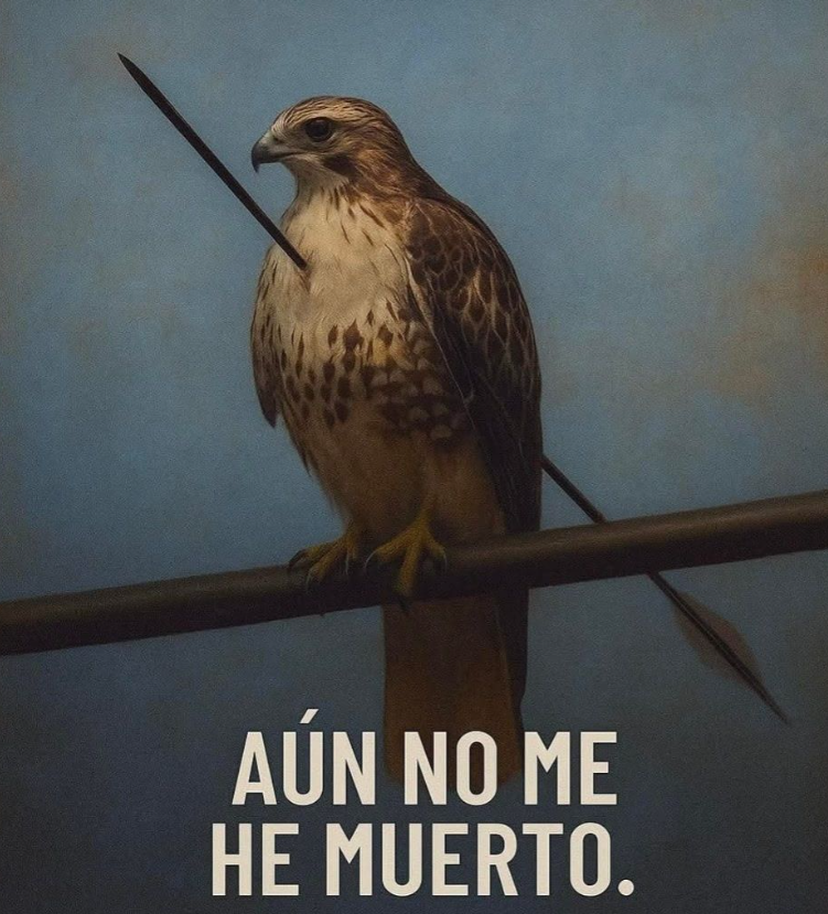 BANDIDOS (@bandidosfrasess) on Twitter photo 