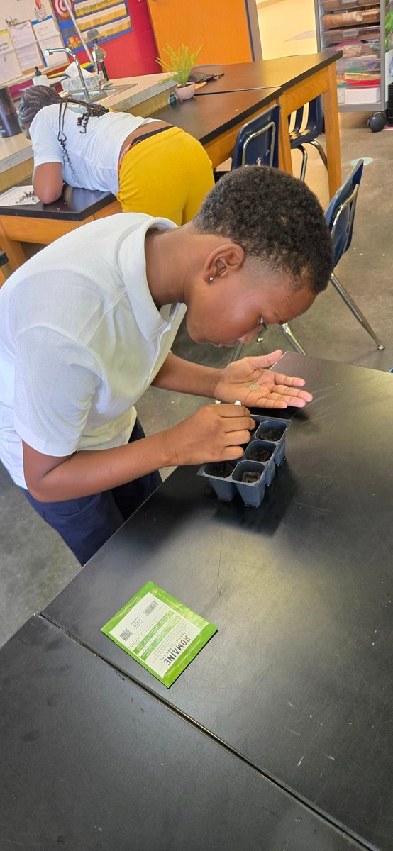 🌱 4th grade green thumbs are growing strong! 👩🏾‍🏫🧑🏽‍🏫 used informational writing to teach others how to plant seeds in our aquaponics system. With plant plans in hand, they’ve started collecting data and watching life take root! 💧📊 #STEAM #Aquaponics
<a href="/TerukoDobashi/">Teruko Dobashi</a>
<a href="/LisaColbert10/">Mrs.CStemology</a>