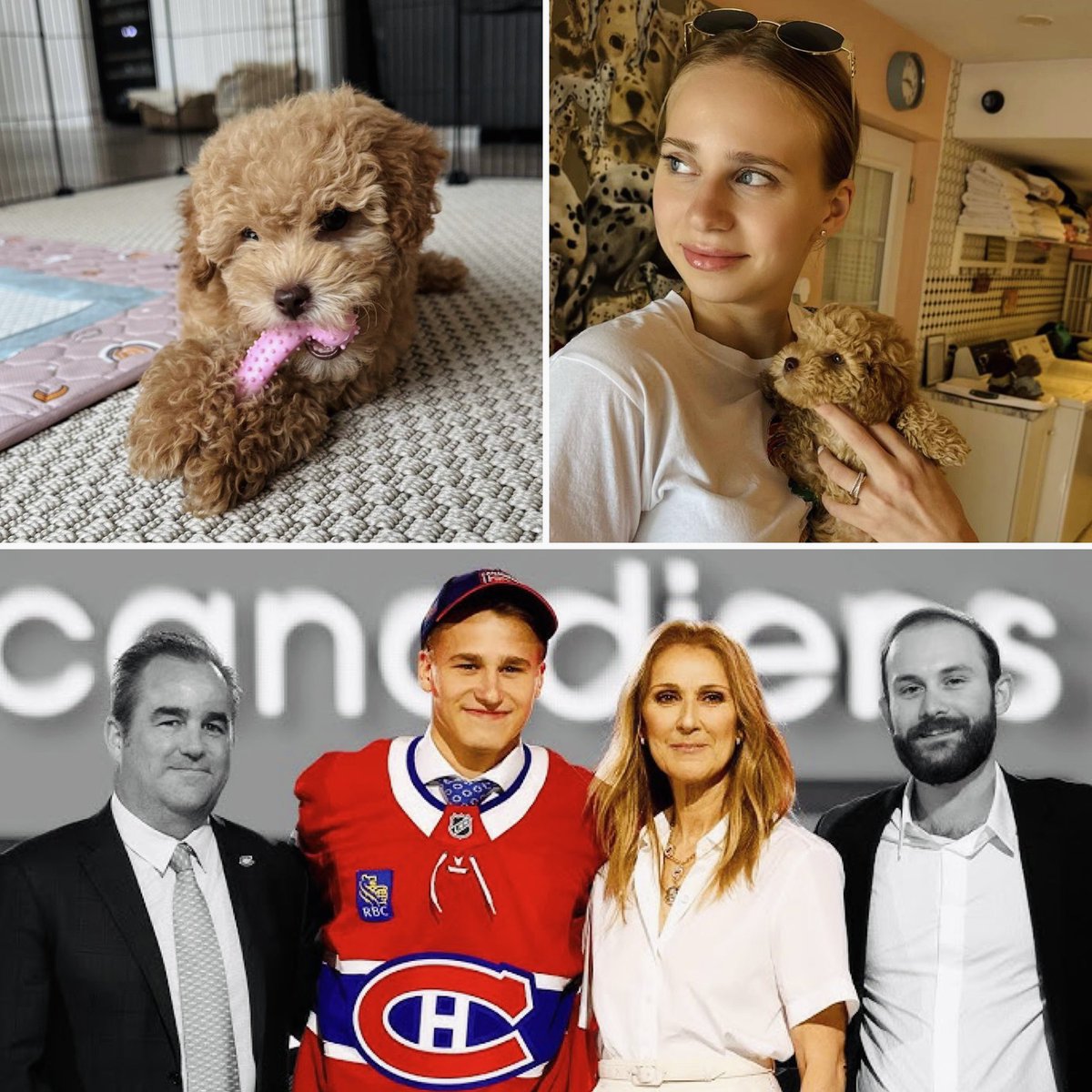 Ivan Demidov &amp; his GF Katya have gotten a lil puppy 🐶 and they’ve named her Céline