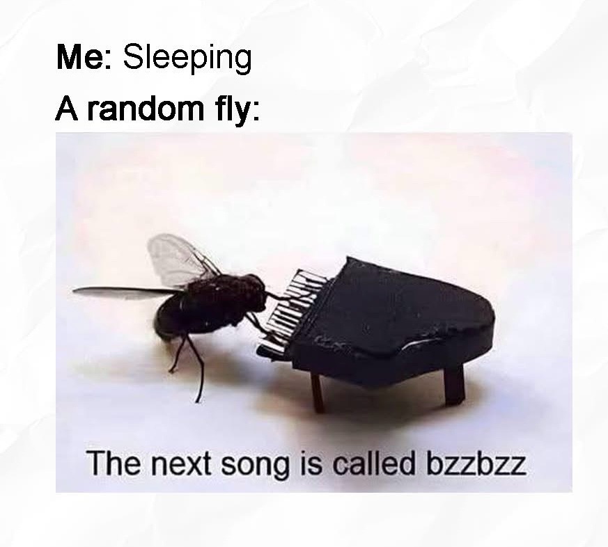 We know how to get you to zero flies.  Call now.