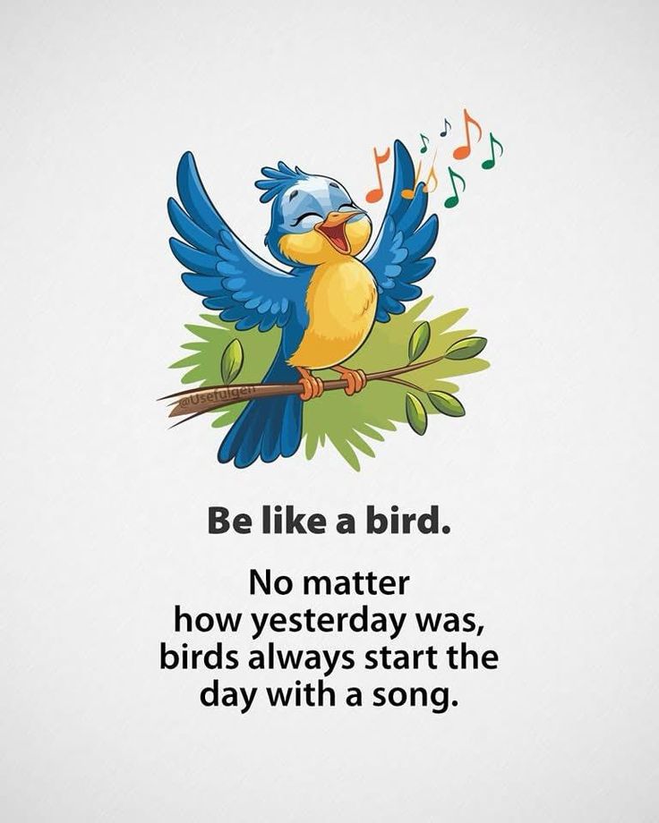 PositivitySaid's tweet photo. https://t.co/2KBpBl0Hvi