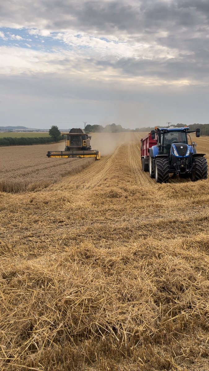Nipping the last of the wheat off. Just rye and spring barley to go. Not a harvest to remember eh. Light lands been a  disaster. But the rest I’d class as OK considering, nothing more.