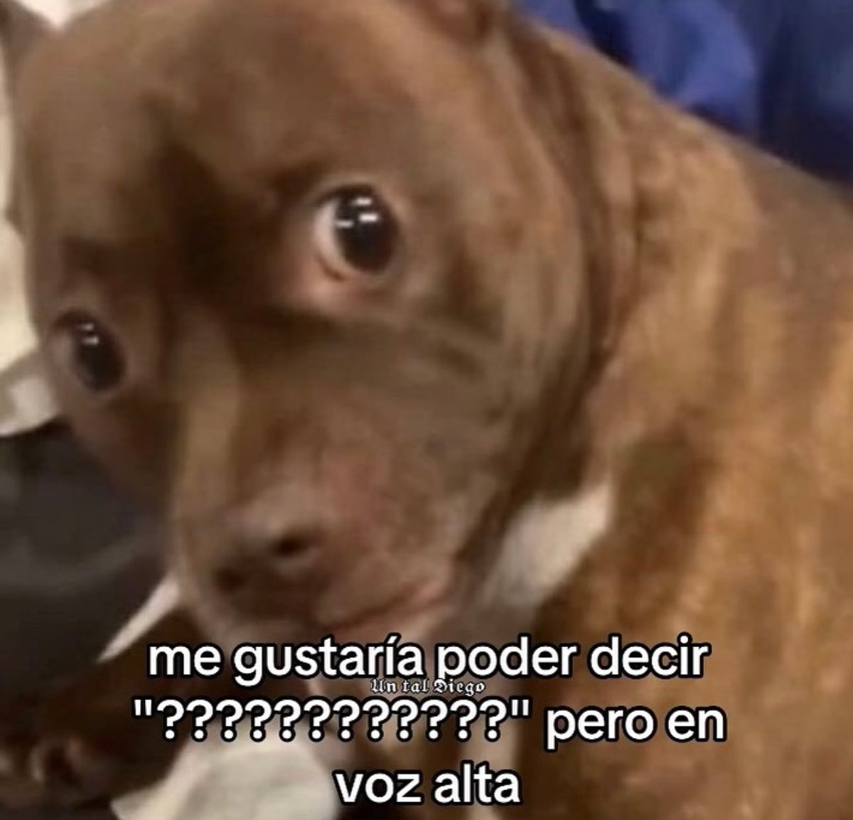 piña sin pizza (@skereunpesado) on Twitter photo 