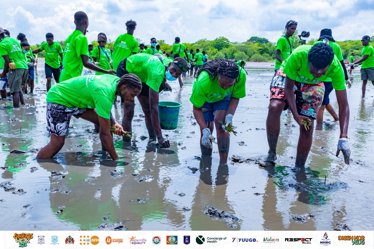 Alieu Badara Jallow tweet media