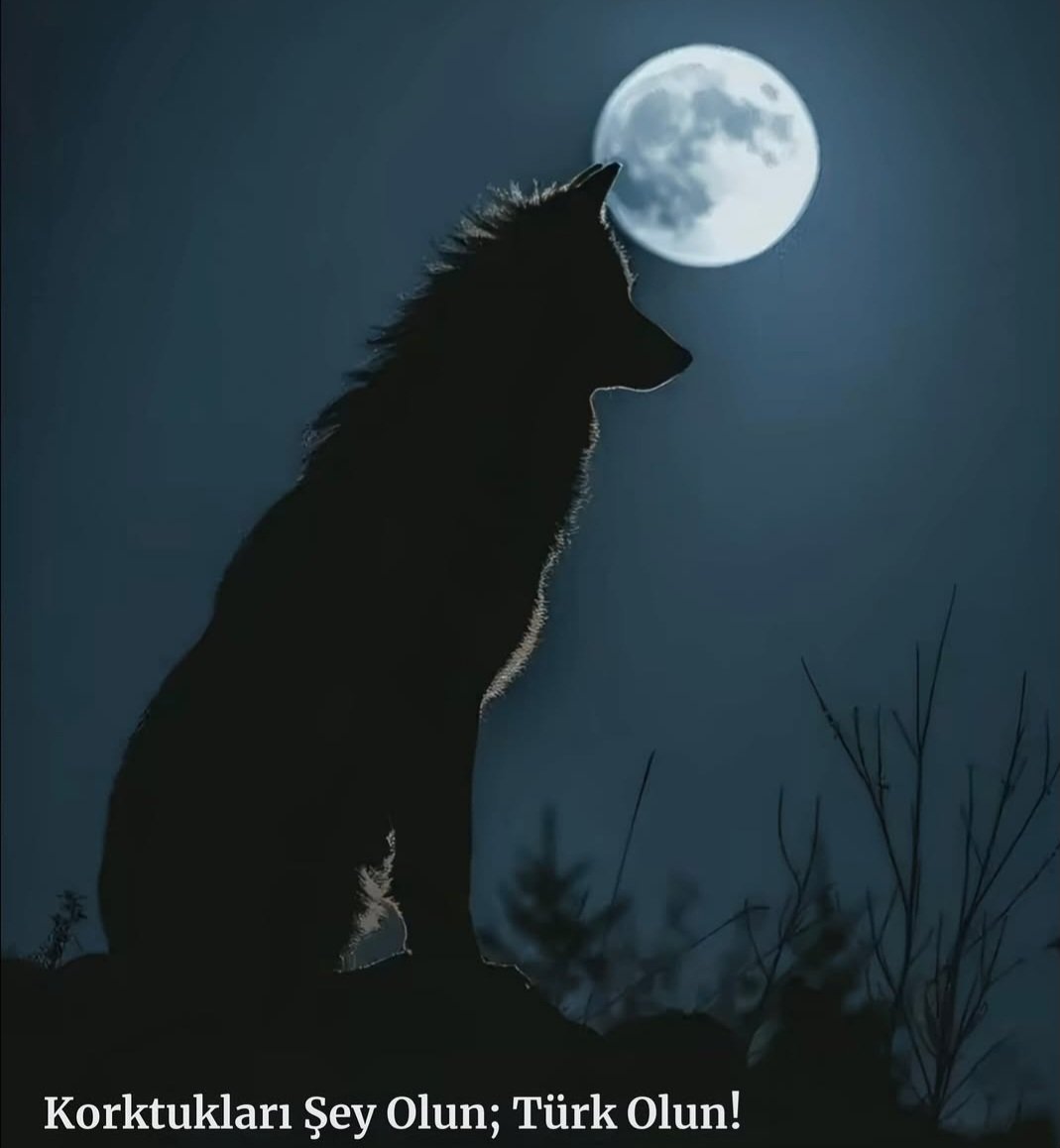 İnsanın bile sahte olduğu yerde diplomanın, ehliyetin sahte olması mı garip geliyor?