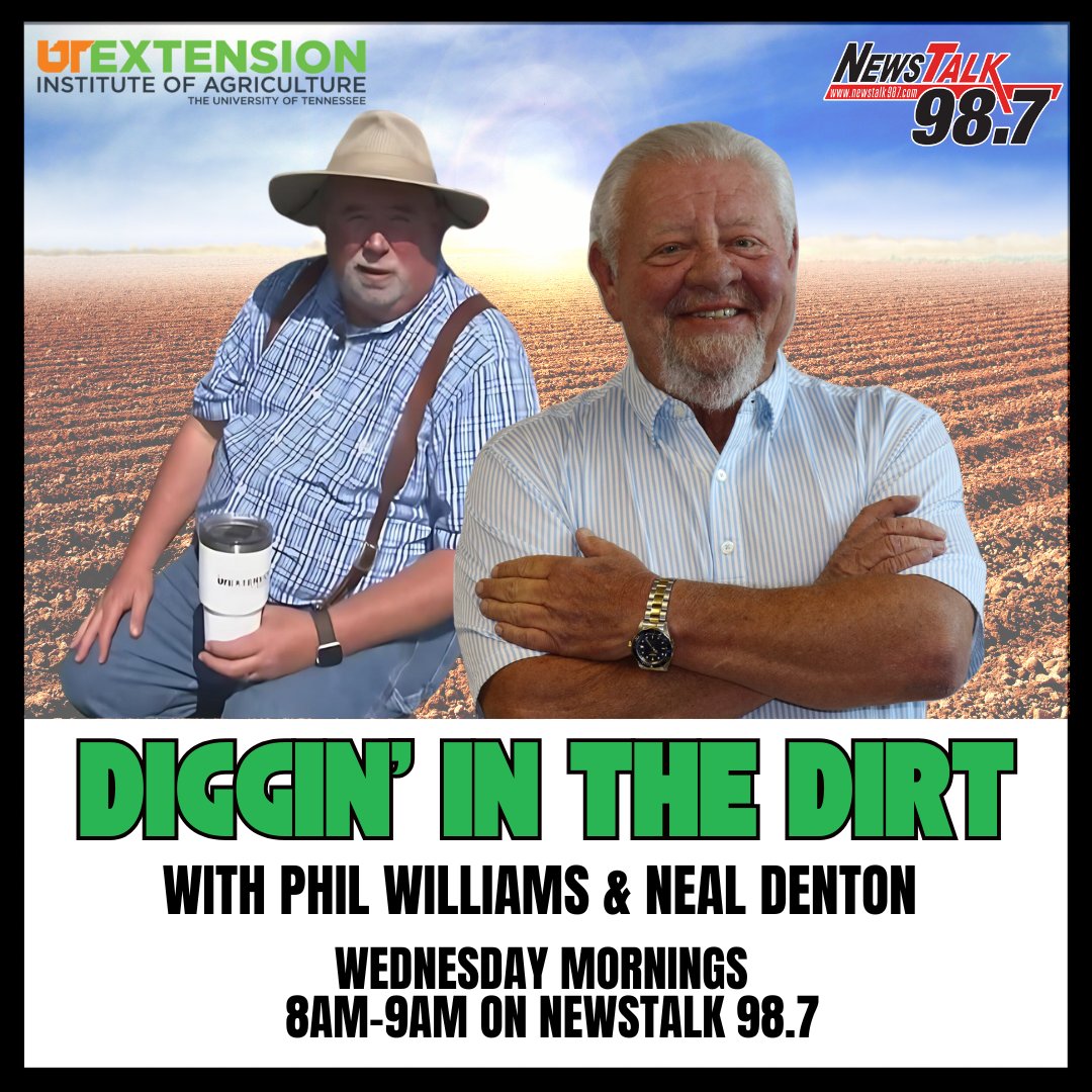 NewsTalk 98.7 tweet media