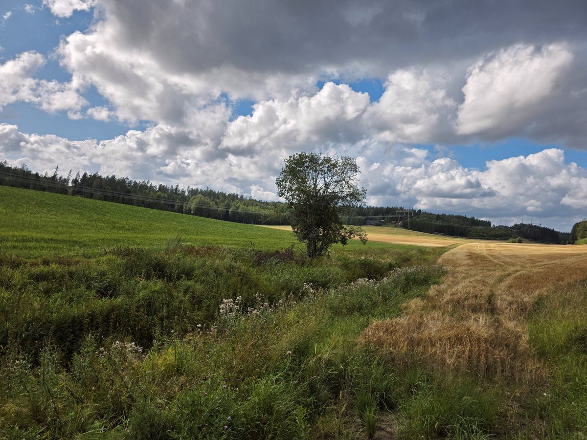 Juha Auvinen (@zehov) on Twitter photo 