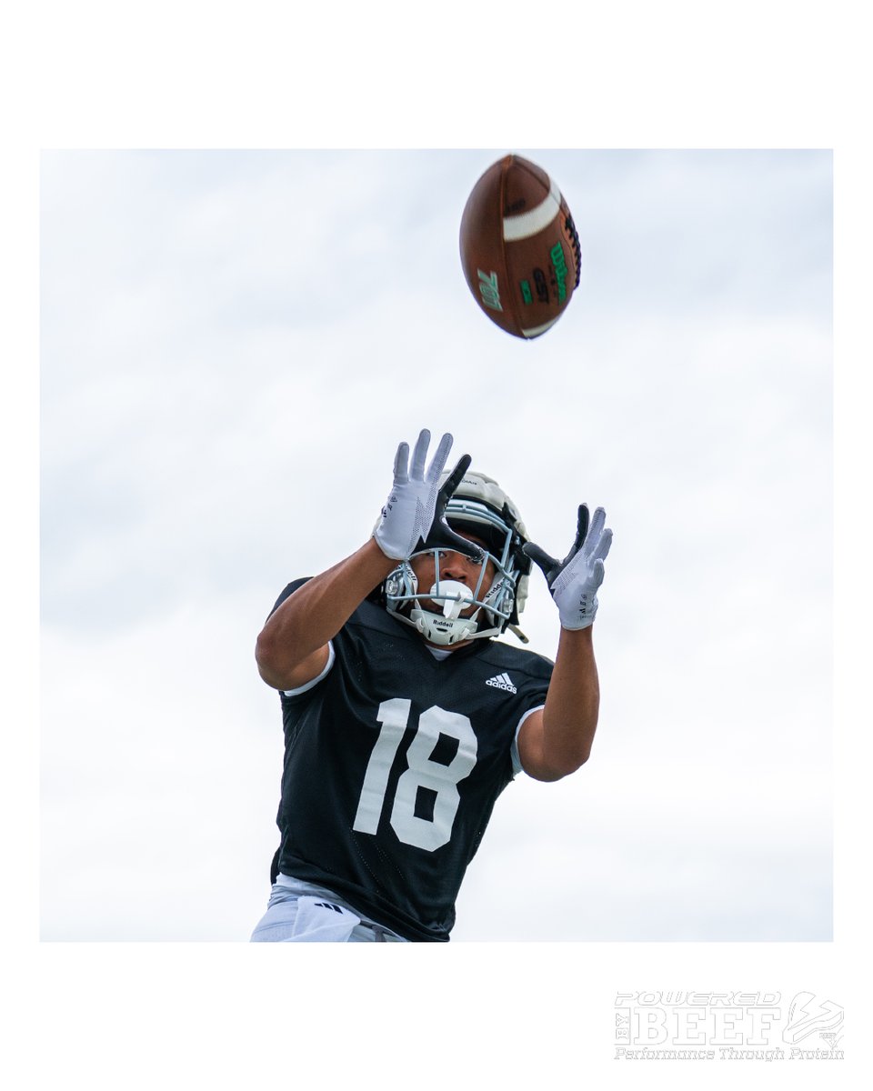 North Dakota Football tweet media