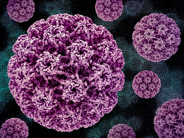 IJIR: Your Sexual Medicine Journal tweet media