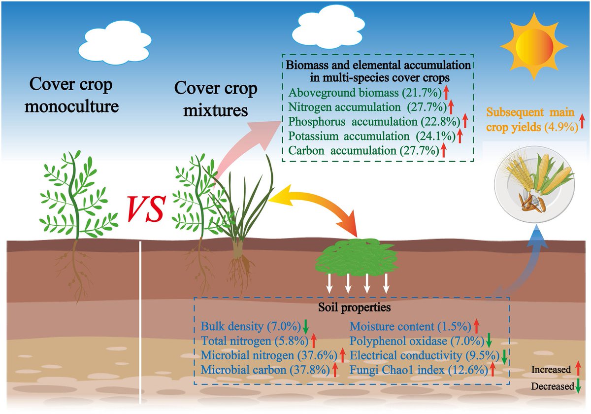 Con dos o más especies los cultivos de servicio producen 22% más biomasa y 5% más rendimiento del cultivo de renta que los que tienen una sola especie.
En el suelo tienen más humedad, nitrógeno, biomasa microbiana
Metaanálisis de 1895 pares de datos en 61 estudios.